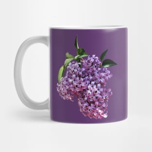 Lilacs - Delicate Pink Lilacs Mug